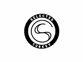 Web Tasarım Ajansı İstanbul